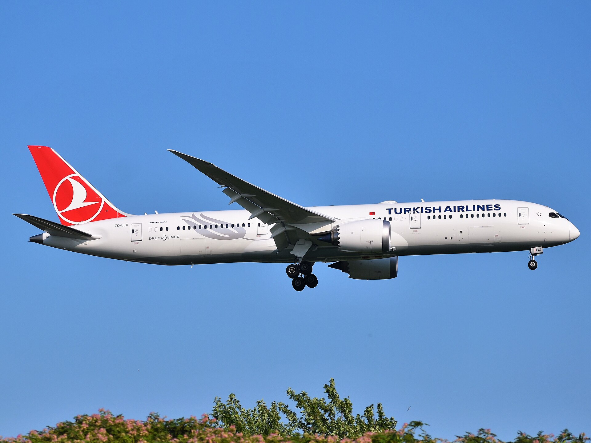 Turkish Airlines Boeing 787
